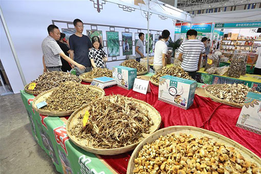 Chine : foire de produits agricoles dans le sud-ouest