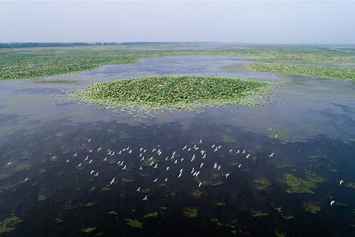 Chine: paysage du lac Honghu au Hubei