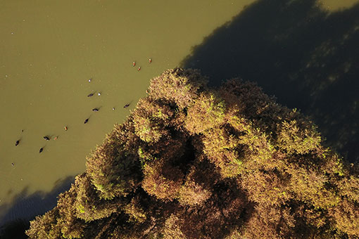 Chine : paysage automnal d'un parc au Jiangsu