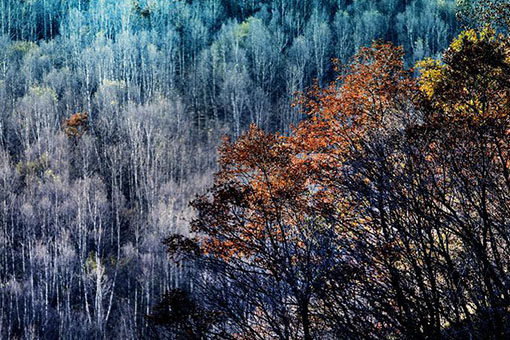 Chine : paysage automnal d'une ferme forestière du Shanxi