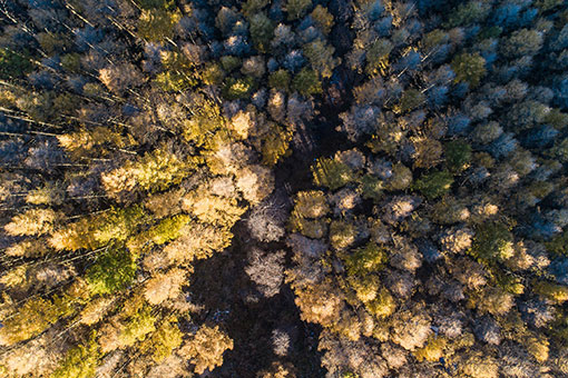 Paysage d'automne d'un mont dans le nord de la Chine