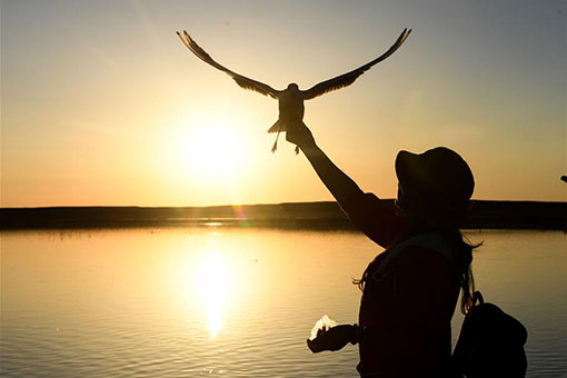 Chine : paysage du lac Juyan en Mongolie int&eacute;rieure