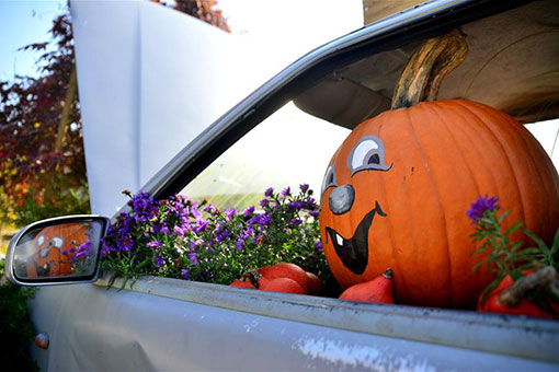Exposition amusante de citrouilles en Slov&eacute;nie