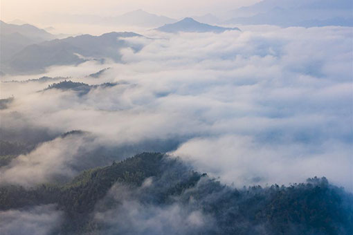 Chine : paysage automnal dans la r&eacute;gion des monts Dabie