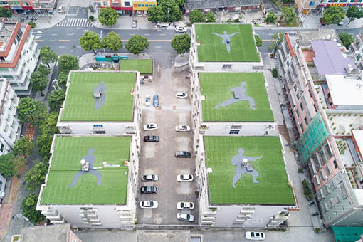 Chine : gazons en forme de postures de kung-fu sur des toits