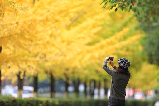 Beaux paysages d'automne dans le sud-ouest de la Chine