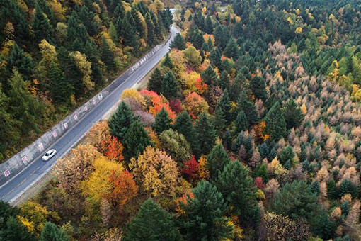 Chine: paysage automnal au Tibet