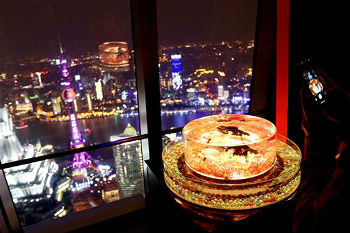 Chine : l'art de l'aquarium &agrave; Shanghai