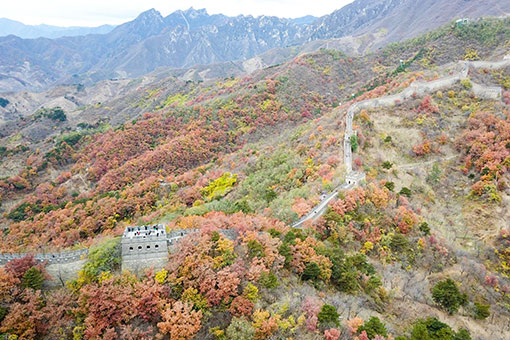Paysage d'automne de la section de Mutianyu de la Grande Muraille &agrave; Beijing