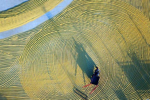 Des agriculteurs travaillent dans l'est de la Chine