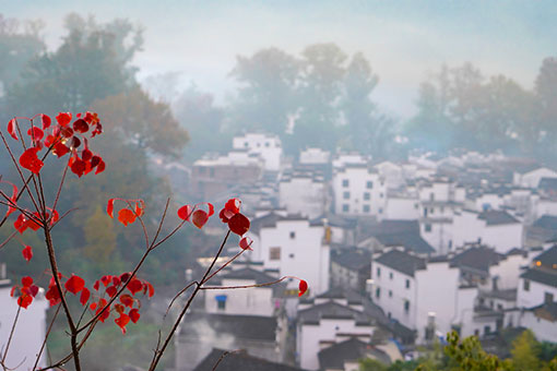 Paysage d'un village dans l'est de la Chine