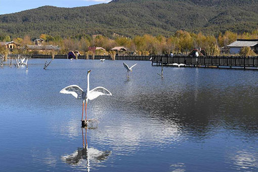 Chine: paysage du parc de la zone humide au Yunnan