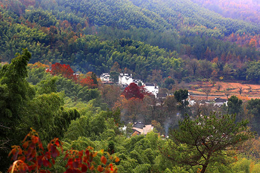 Paysage d'un village dans l'est de la Chine