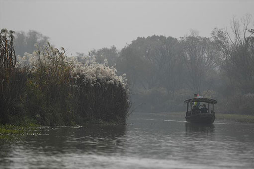 Chine: paysage du Parc national des zones humides de Xixi