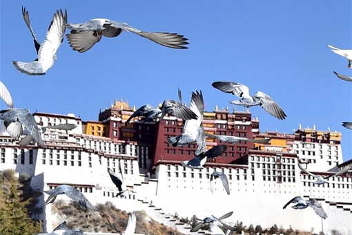 Printemps au Tibet
