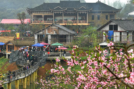 Chine : festival de fleurs de pêcher dans le Hunan
