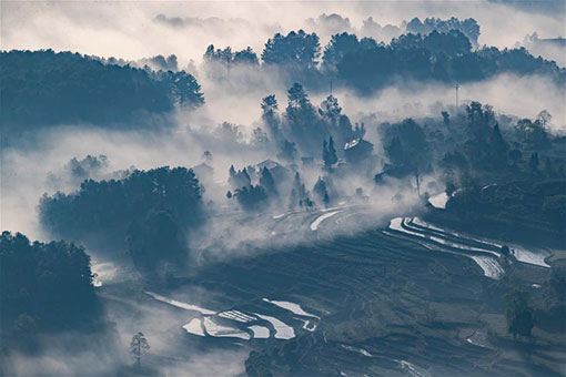 Brume à Chongqing