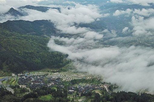 Chine : champs en terrasses dans le sud-ouest