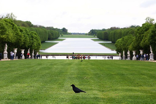 France: jardin du Ch&acirc;teau de Versailles &agrave; Paris