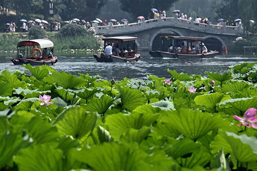 Paysage estival du Parc des ruines de Yuanmingyuan à Beijing