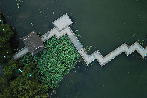 Chine: paysage du lac de l'Ouest à Hangzhou