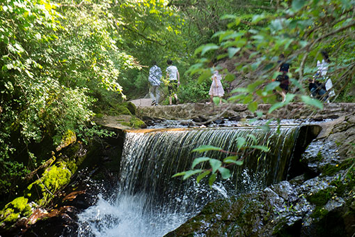 Chine: le parc forestier national de Liupanshan au Ningxia