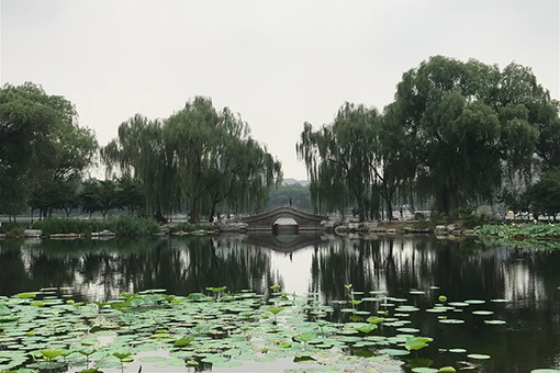 Chine: paysage dans le parc Yuyuantan &agrave; Beijing