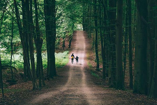 Belgique: l'&eacute;t&eacute; &agrave; Bruxelles