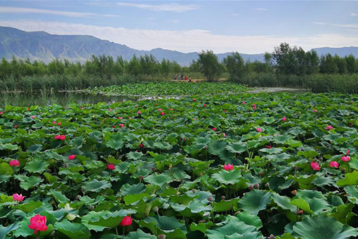 Paysage du district de Guangli dans le nord de la Chine