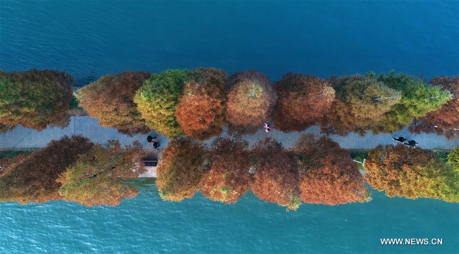 Chine : paysage du Lac Nianjia à Changsha