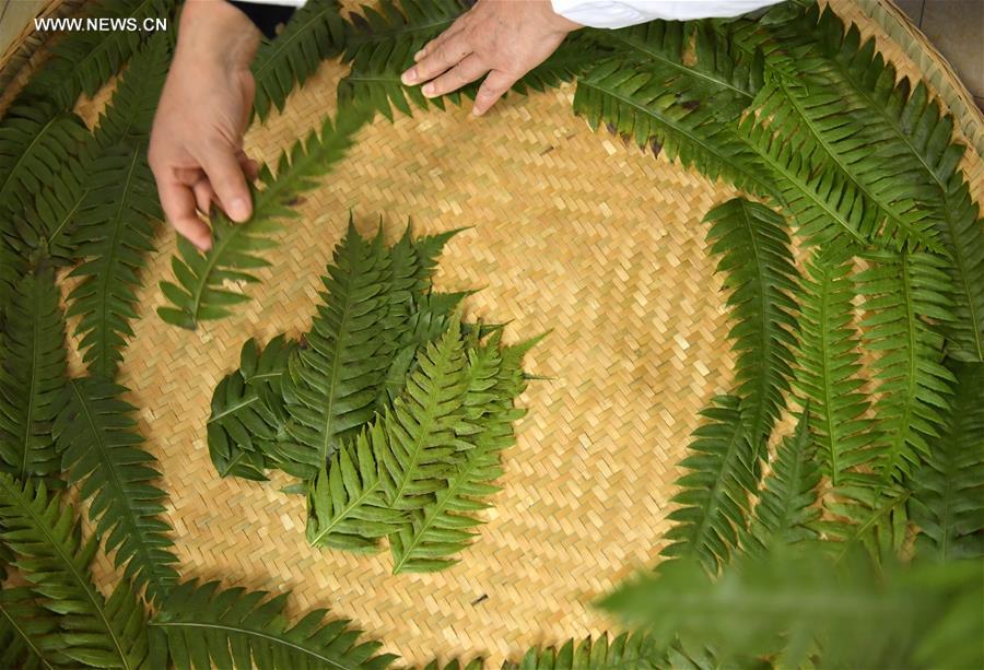 Chine : fabrication du "tofu moisi" au Hubei