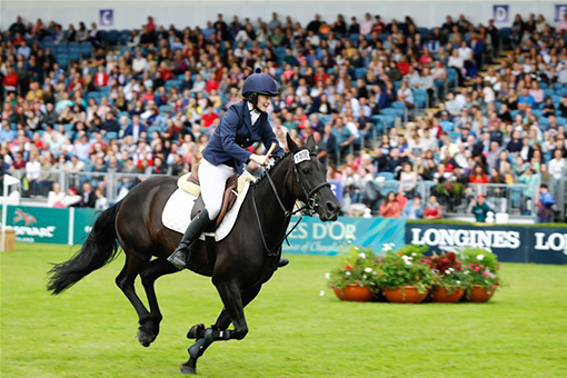 Irlande : spectacle équestre à Dublin