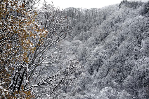 Paysage de neige dans le nord-ouest de la Chine