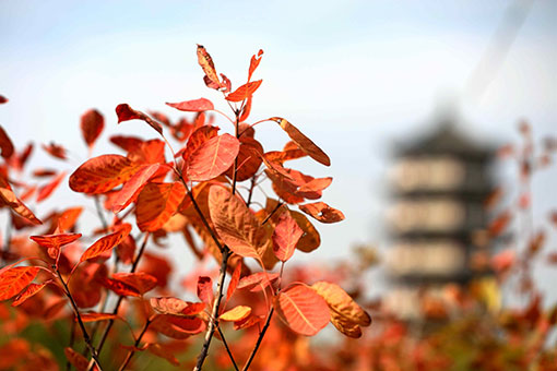 Beaux paysages d'automne en Chine
