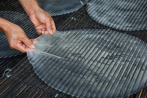 Chine : paysan s&eacute;chant de la gel&eacute;e d'amidon de patate douce