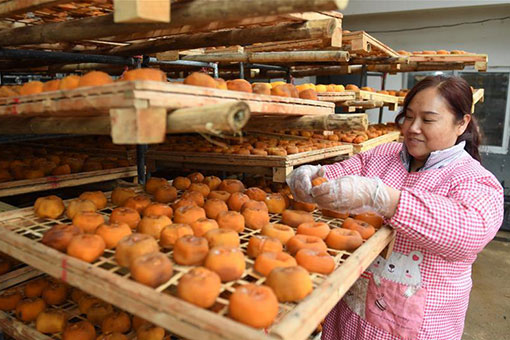 Chine : l'industrie fruiti&egrave;re au Guangxi