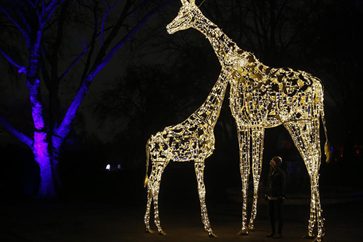 Londres : No&euml;l au zoo