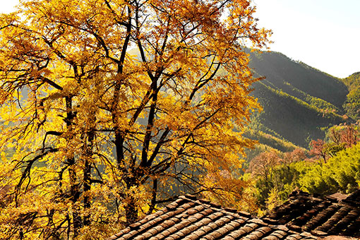 Beaux paysages dans le sud-est de la Chine