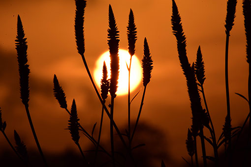 Chine: coucher du soleil &agrave; Qionghai