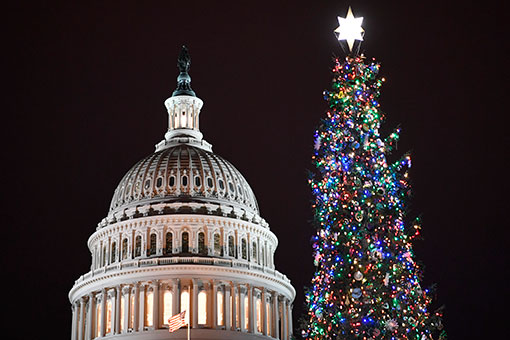 Etats-Unis: illumination du sapin de No&euml;l du Capitole &agrave; Washington D.C.