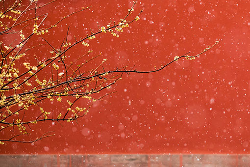 Chine: beaux paysages de neige au Mus&eacute;e du Palais &agrave; Beijing