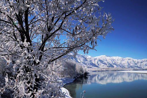 Chine : paysage de givre au Tibet