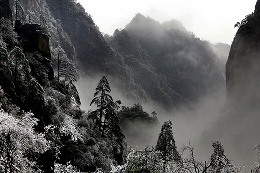 Chine: paysage de givre au site touristique du mont Huangshan