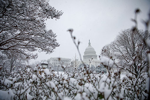 Etats-Unis : neige à Washington
