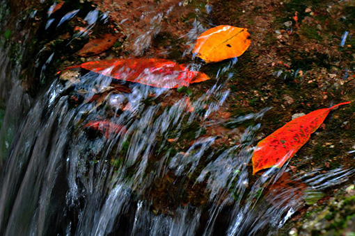 Chine: paysage du mont Wuyi au Fujian