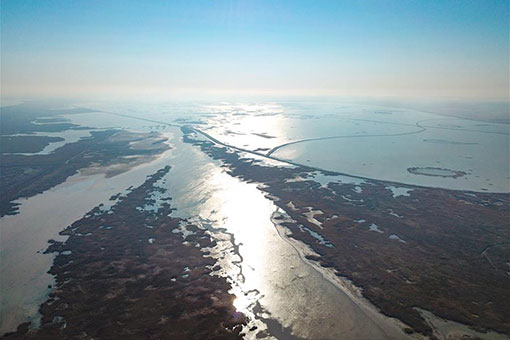 Paysage de la réserve naturelle nationale du delta du fleuve jaune au Shandong