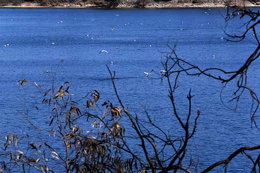 Lac de Marathon en Grèce