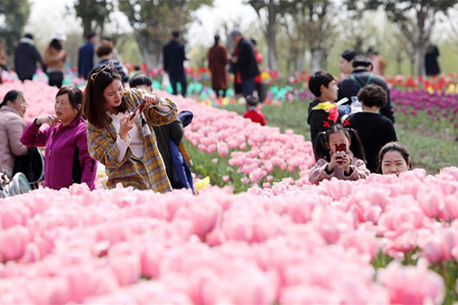 Chine : un jardin écologique à Shanghai