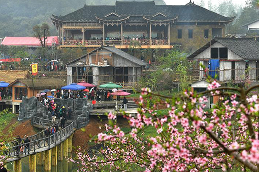 Chine : festival de fleurs de p&ecirc;cher dans le Hunan