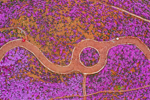 Chine: paysage du site pittoresque de Yuhuagu &agrave; Tangshan